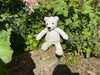 Teddy Bear…. If you go down to the woods today!