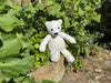 Teddy Bear…. If you go down to the woods today!